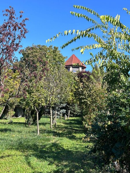 Buftea,